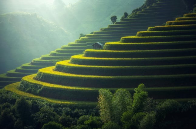 Mobirise Website Builder